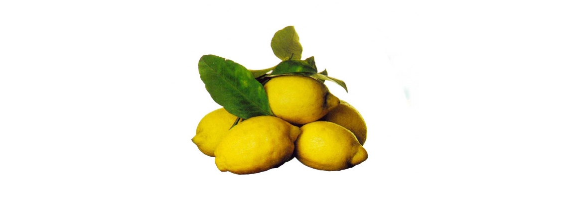 Limoni Costiera Amalfitana