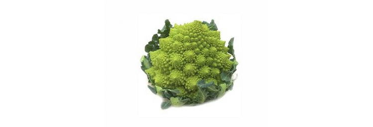 Broccolo Romanesco - Cimone Verde