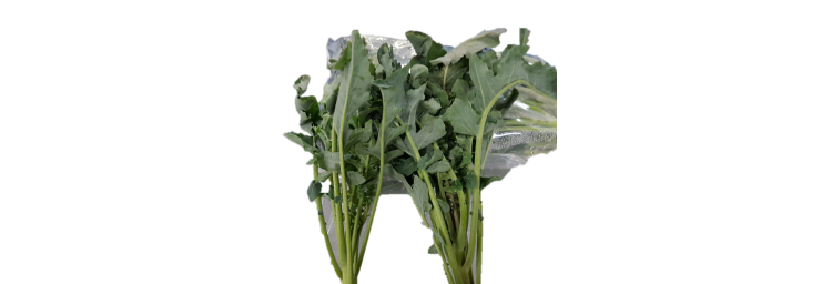 Broccolo Fiolaro di Creazzo