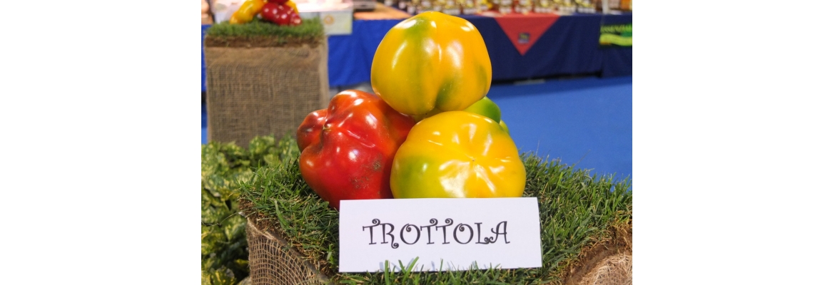 Peperone Trottola di Carmagnola